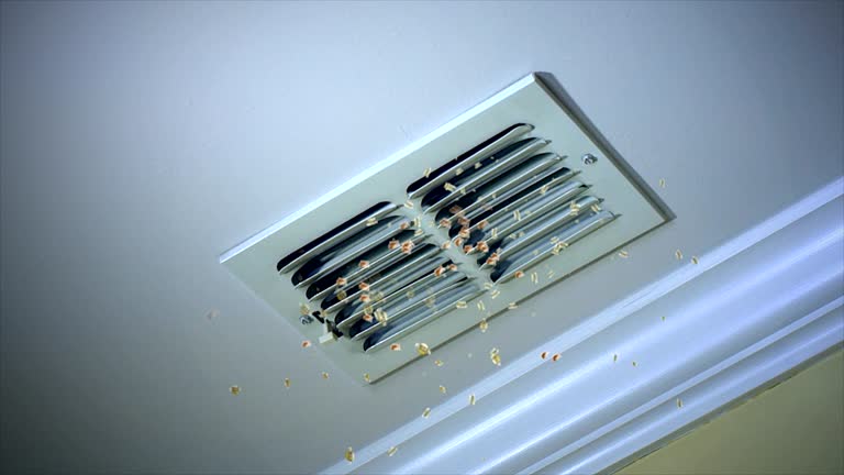 Best Professional Duct Cleaning Services  in Gloucester Point, VA